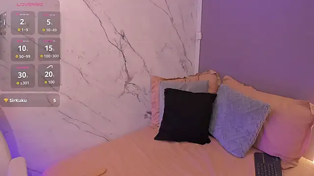Veravantemp webcam