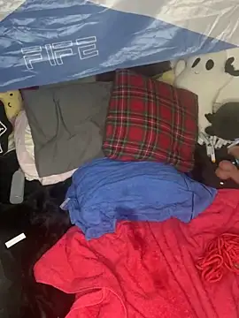 tinyweepixie webcam