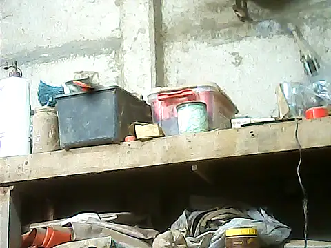 viclor99 webcam