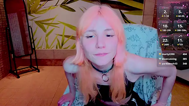 fleximona webcam
