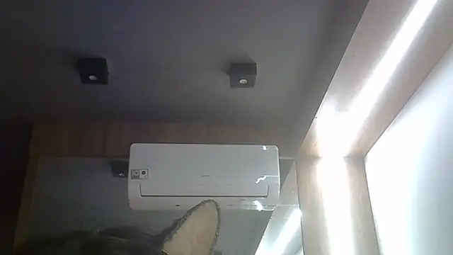 SkinnyKitten webcam