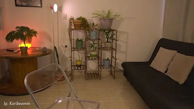 Karibeam webcam