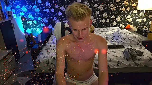 Vuitton webcam