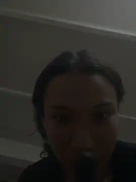 avans_15 webcam