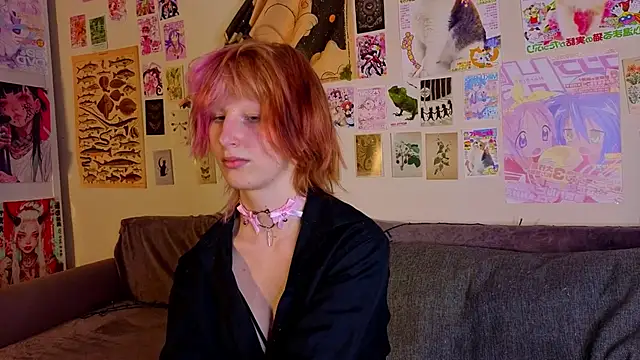 KandraCruser webcam