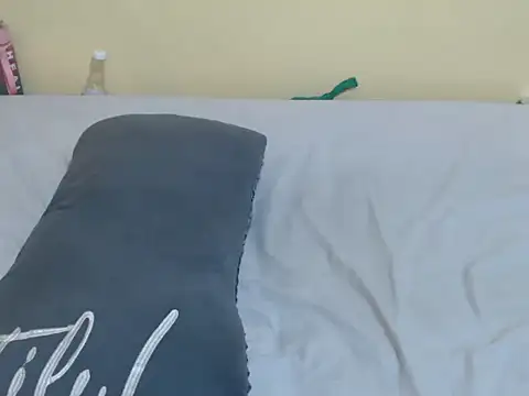 lynnsee webcam
