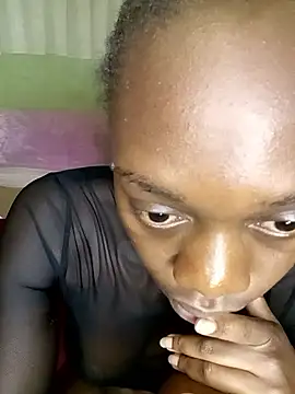 Paulahaze webcam