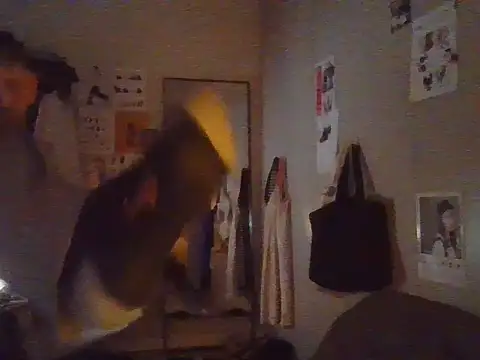 plsmecha webcam