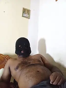 Hiptonos webcam