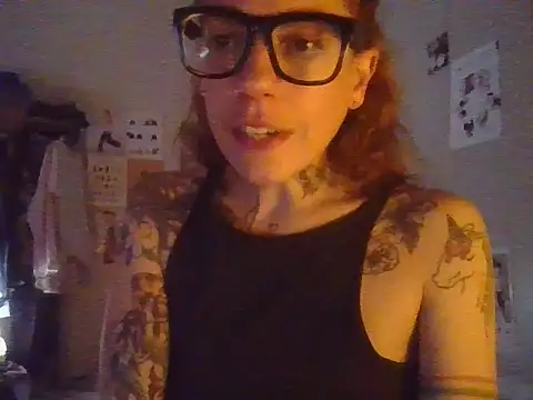 plsmecha webcam