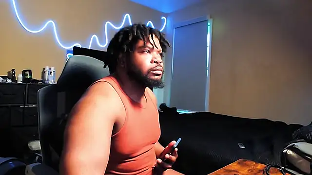 rogue42911 webcam