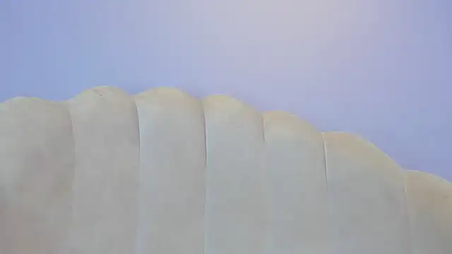 miajhonsonx webcam