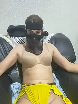Ashwak_trans webcam