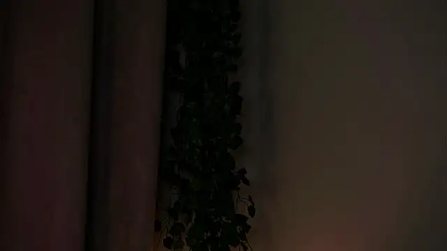 AmparoCilek webcam