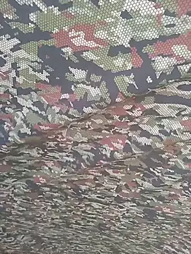 xjkedv webcam