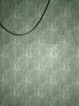 _Scorpion_ webcam