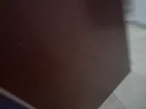 ssndratrans webcam
