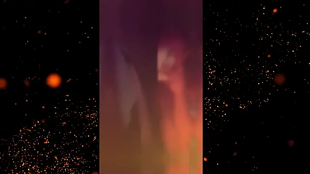 Vuitton webcam