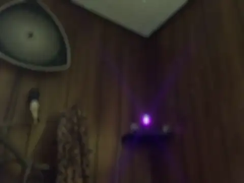 Synfulsymone9 webcam