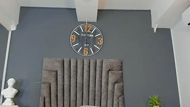 Robin_Rief webcam