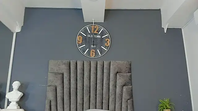 Robin_Rief webcam