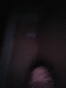 SamVer1 webcam