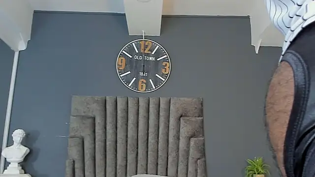 Robin_Rief webcam