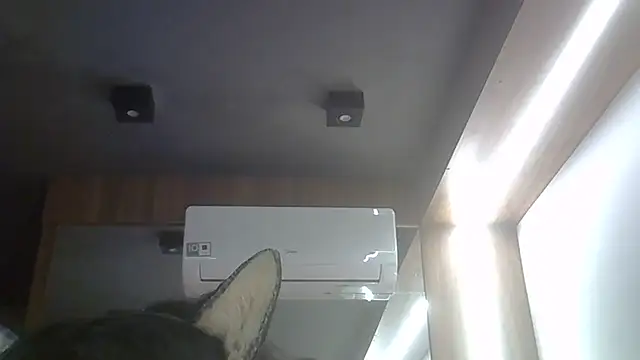 SkinnyKitten