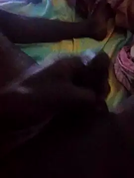 roxa2784 webcam
