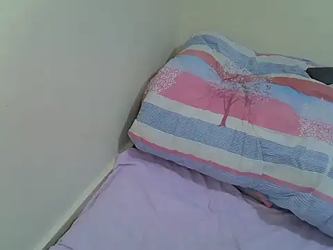 cudlecanvas webcam
