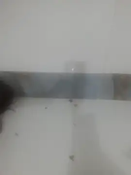 Tanu6868 webcam