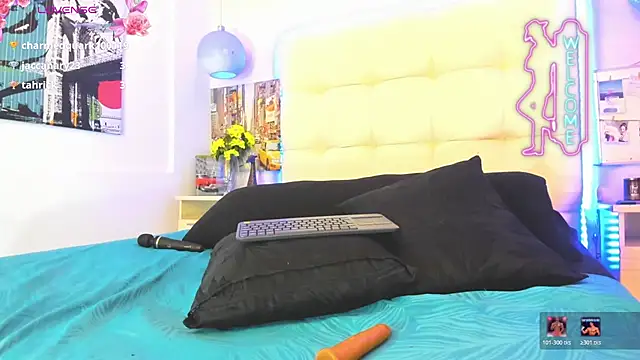 AndyCat3_ webcam
