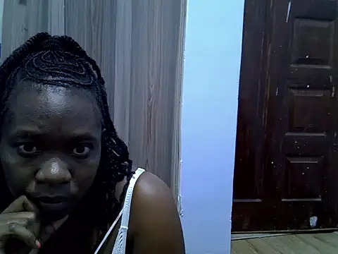 Snylove webcam