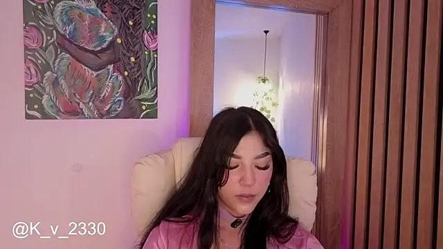 sofiesoft webcam