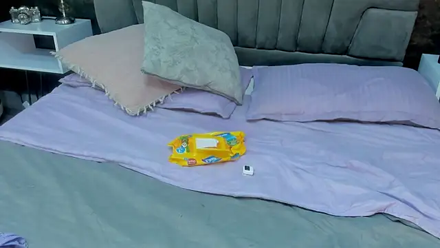 isa_lancaster webcam