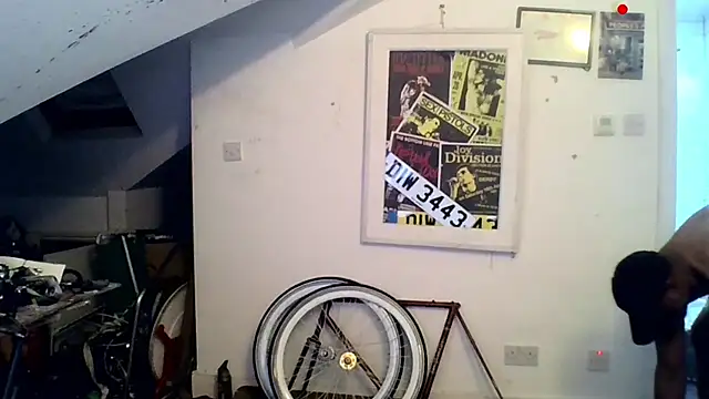 mista_sista_fista webcam