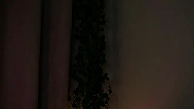 AmparoCilek webcam