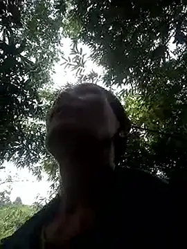 toyo_668 webcam