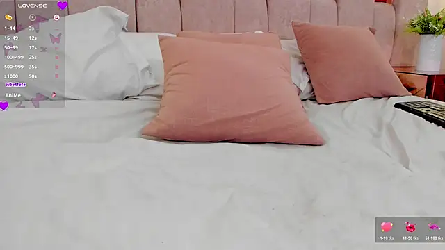 lady_boox webcam