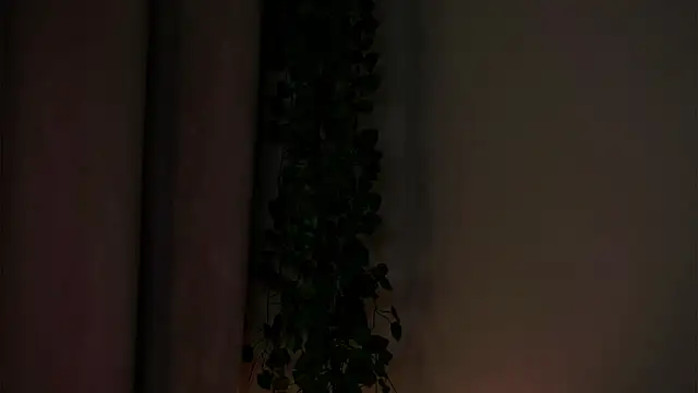 AmparoCilek webcam