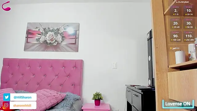 sharon_hill webcam