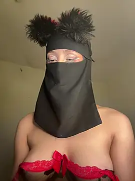 arabayla webcam