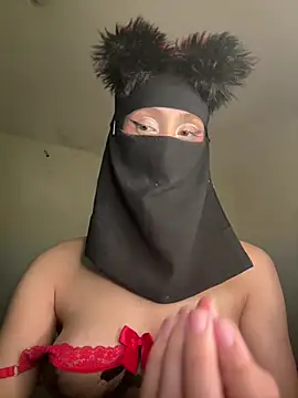 arabayla webcam