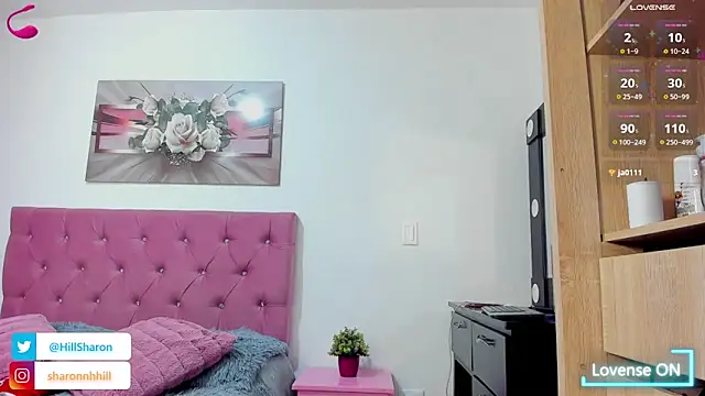 sharon_hill webcam