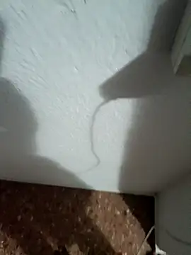 Maycra webcam