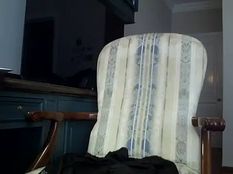 MimeticBang webcam