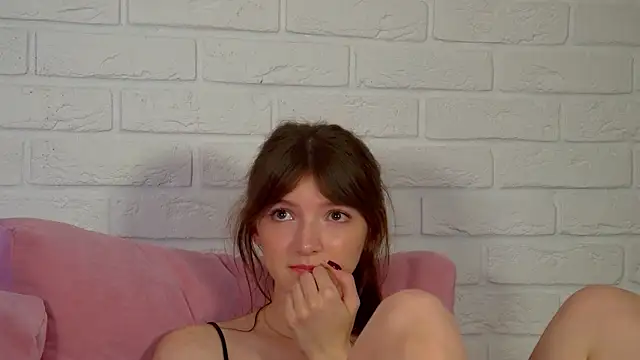 SophiaProve webcam