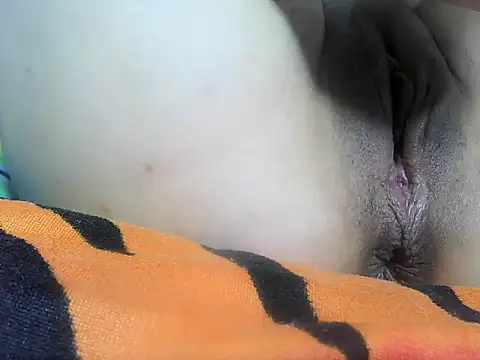 jelobernardo webcam
