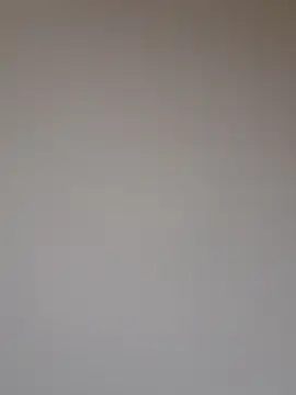Tiomy99 webcam