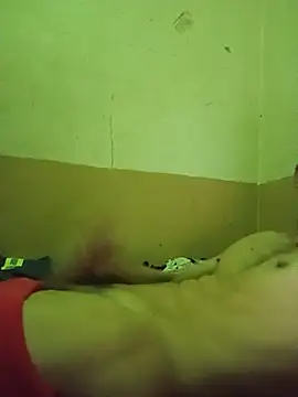 segnini21 webcam